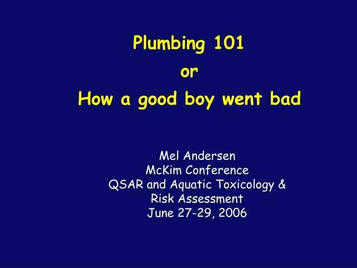 plumbing 101 or how a good boy went bad