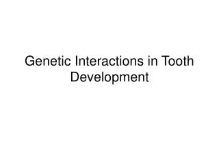 Genetic Interactions in Tooth Development