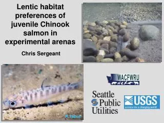 Lentic habitat preferences of juvenile Chinook salmon in experimental arenas
