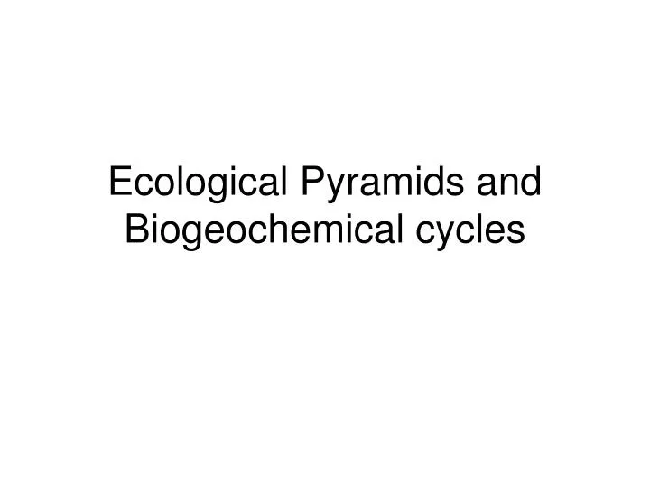ecological pyramids and biogeochemical cycles