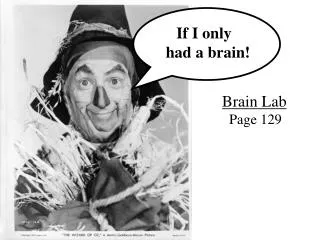 If I only had a brain!