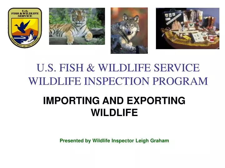 u s fish wildlife service wildlife inspection program