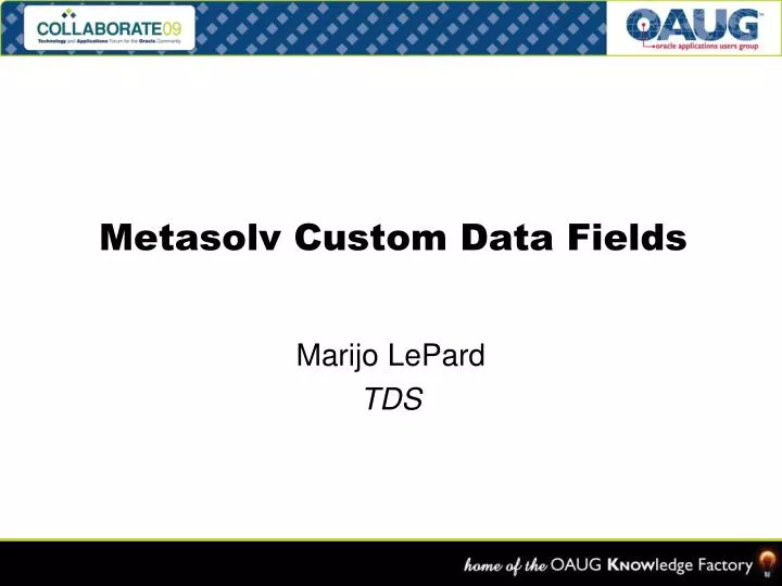 metasolv custom data fields