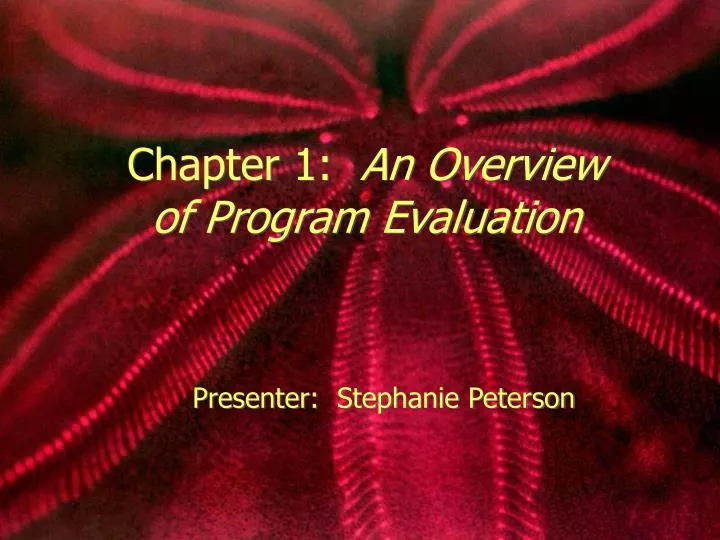chapter 1 an overview of program evaluation