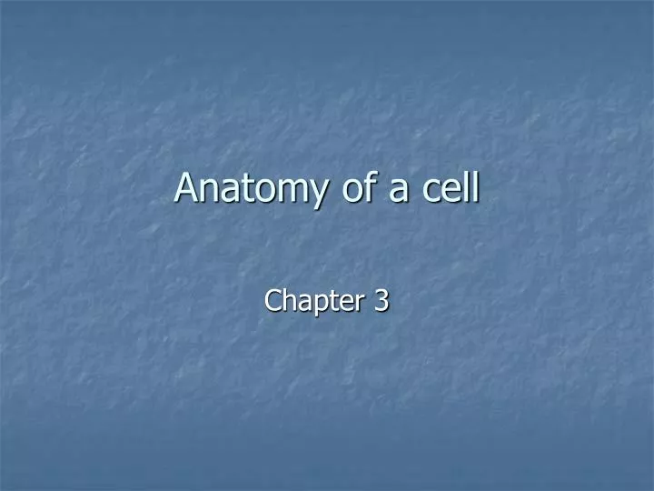 anatomy of a cell