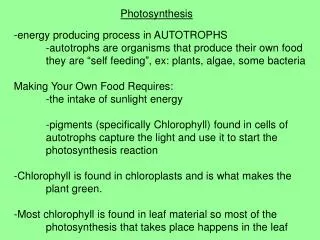 Photosynthesis