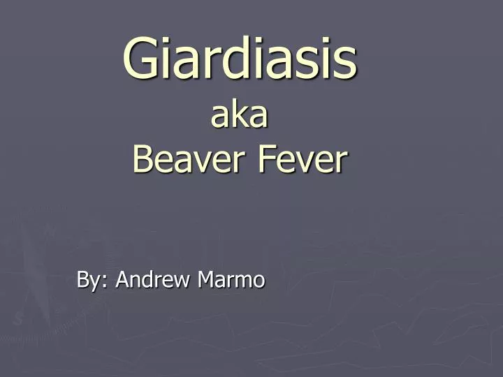 giardiasis aka beaver fever