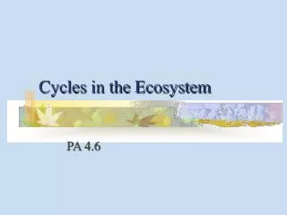 Cycles in the Ecosystem