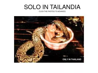 solo in tailandia click the photos to advance