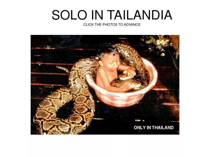 solo in tailandia click the photos to advance