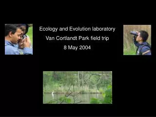 Ecology and Evolution laboratory Van Cortlandt Park field trip 8 May 2004