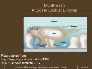 Mouthwash A Closer Look at Biofilms