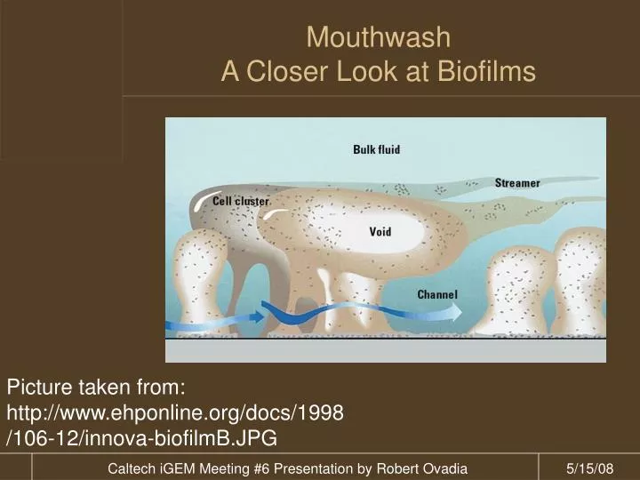mouthwash a closer look at biofilms