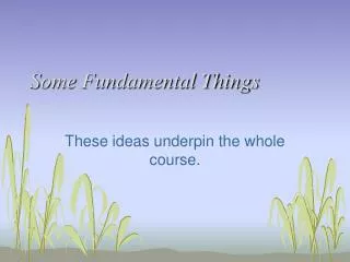 Some Fundamental Things