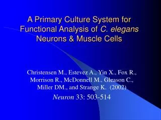 A Primary Culture System for Functional Analysis of C. elegans Neurons &amp; Muscle Cells