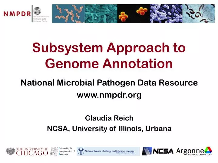 subsystem approach to genome annotation