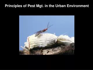 Principles of Pest Mgt. in the Urban Environment