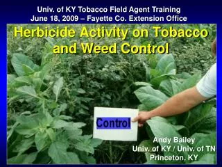 Herbicide Activity on Tobacco and Weed Control