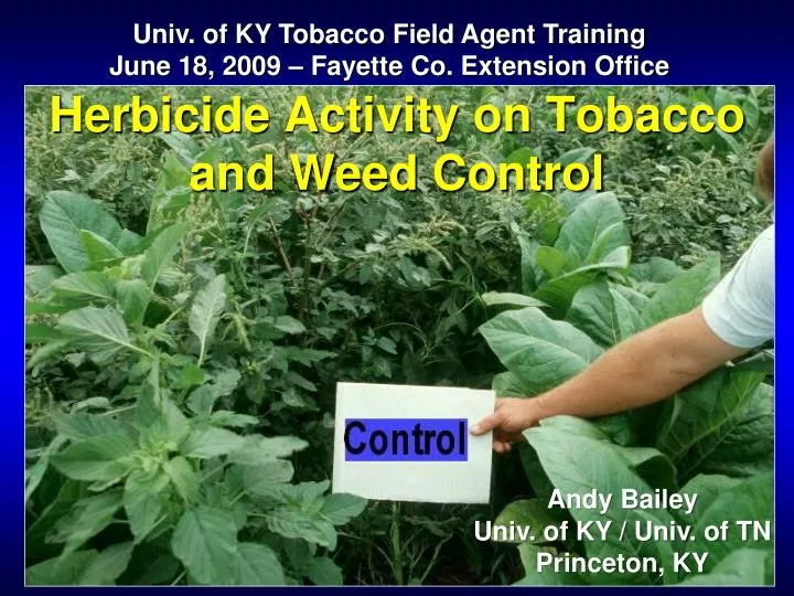 herbicide activity on tobacco and weed control