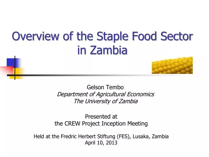 overview of the staple food sector in zambia