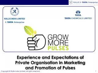 Experience and Expectations of Private Organisation in Marketing and Promotion of Pulses