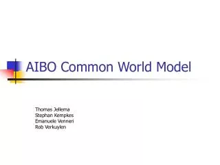 AIBO Common World Model