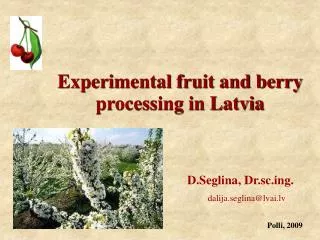 Experimental fruit and berry processing in Latvia