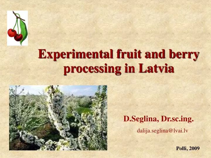 experimental fruit and berry processing in latvia