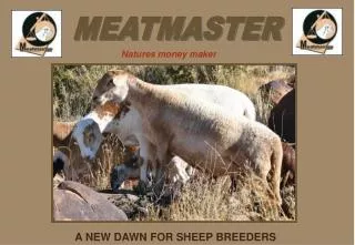 A NEW DAWN FOR SHEEP BREEDERS