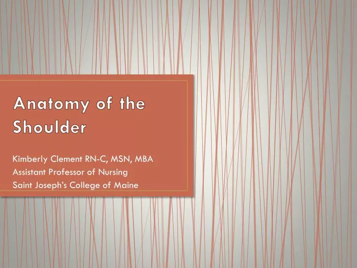 anatomy of the shoulder