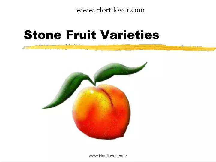 stone fruit varieties
