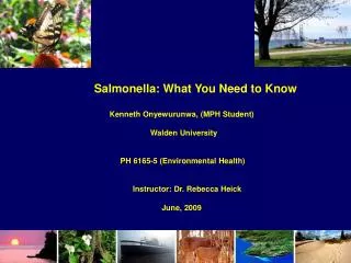 Salmonella: What You Need to Know Kenneth Onyewurunwa, (MPH Student) Walden