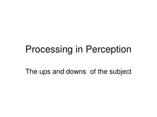 Processing in Perception