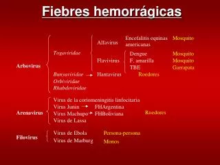 fiebres hemorr gicas