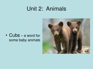 Unit 2: Animals
