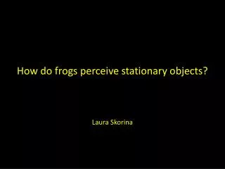 How do frogs perceive stationary objects?