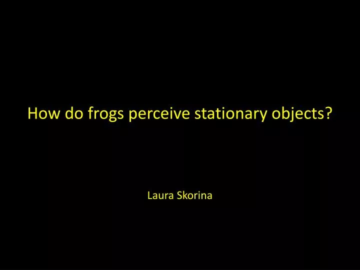 how do frogs perceive stationary objects
