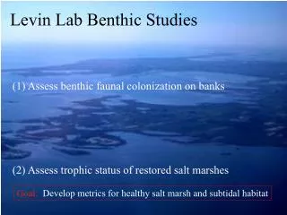 (1) Assess benthic faunal colonization on banks (2) Assess trophic status of restored salt marshes