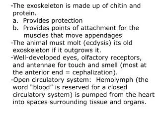 -The exoskeleton is made up of chitin and protein. a. Provides protection b. Provides points of attachment for th