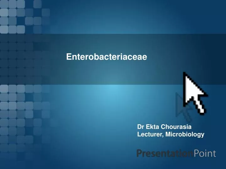 enterobacteriaceae