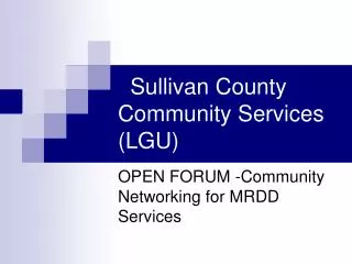 Sullivan County Community Services (LGU)