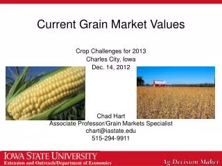 Current Grain Market Values