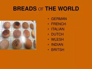 BREADS OF THE WORLD