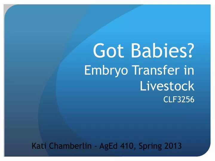 got babies embryo transfer in livestock