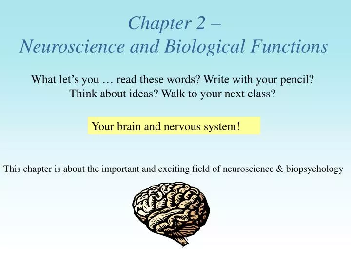 chapter 2 neuroscience and biological functions