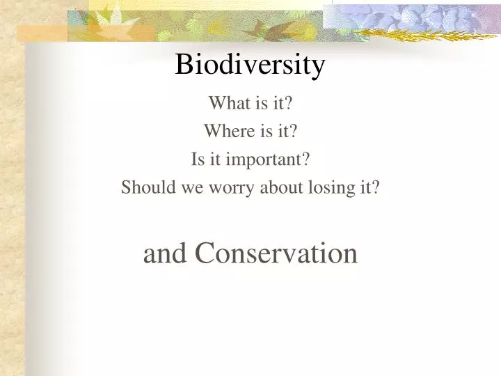 biodiversity