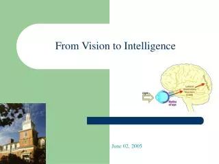 From Vision to Intelligence