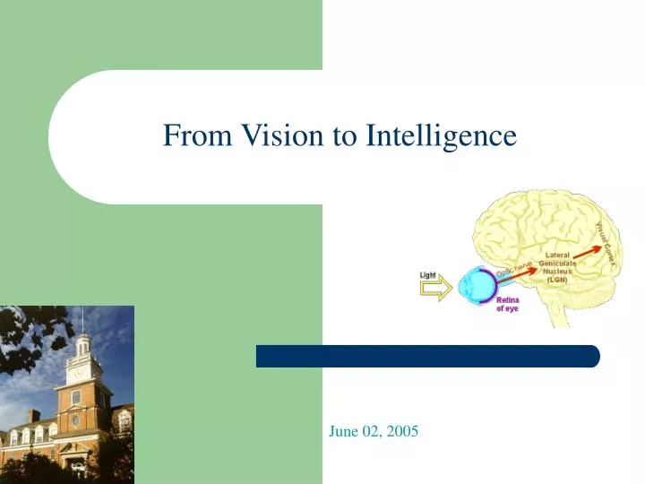 from vision to intelligence