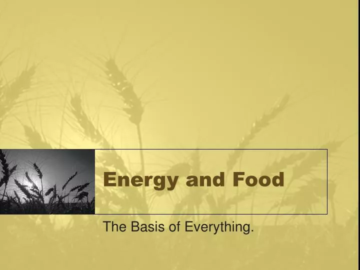 energy and food
