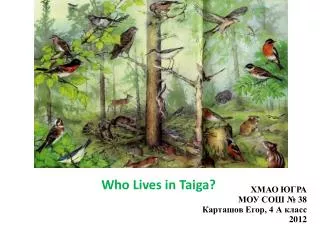 Who Lives in Taiga?